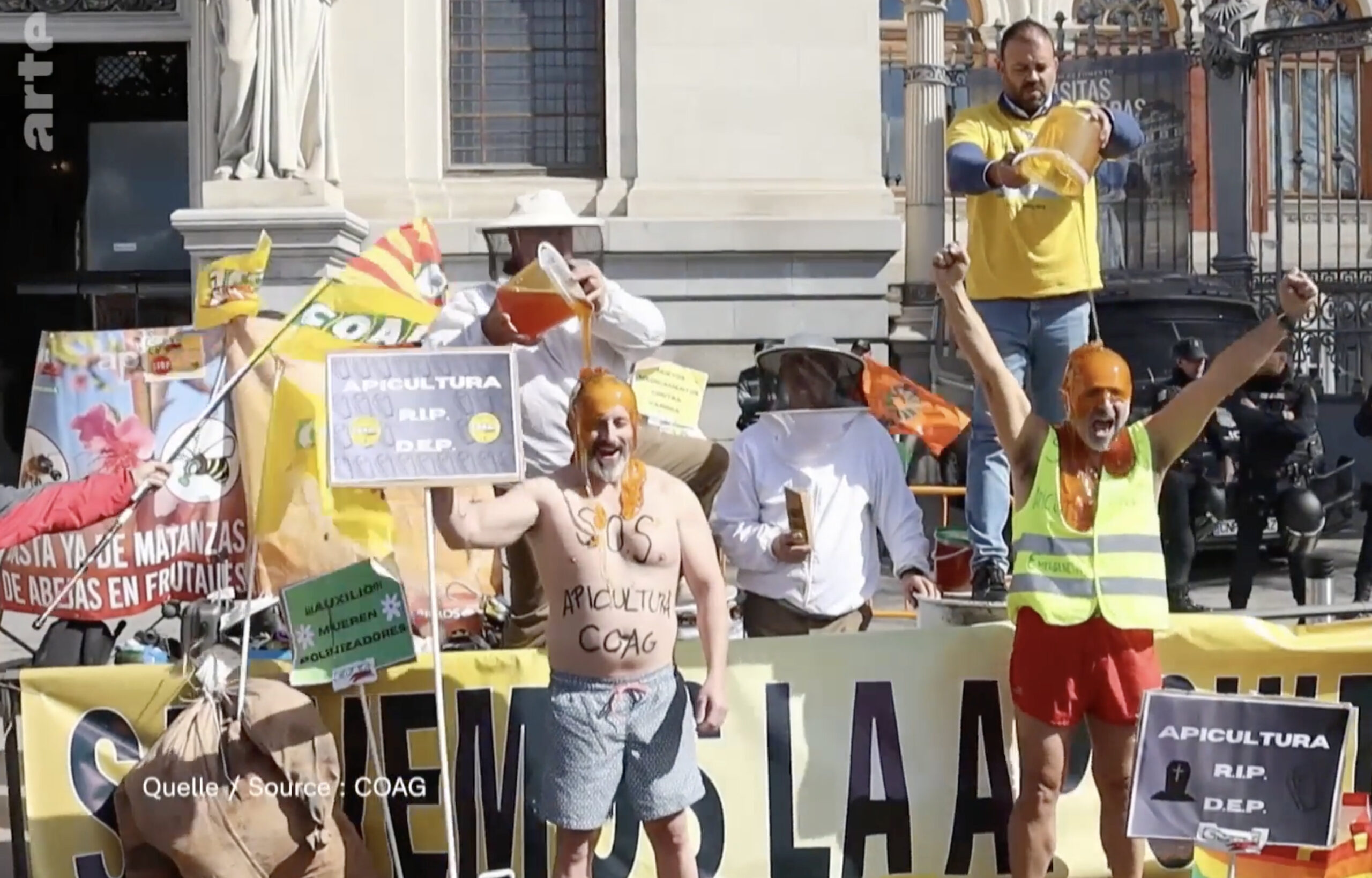 Europäische Imker kämpfen um ihr wirtschaftliches Überleben: Importhonig ist oft gepanscht und drückt auf den Preis. Auch in Spanien protestieren die Imker, hier vor dem Landwirtschaftsministerium in Madrid. Foto: ARTE, Screenshot