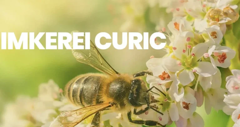 Imkerei Curic
