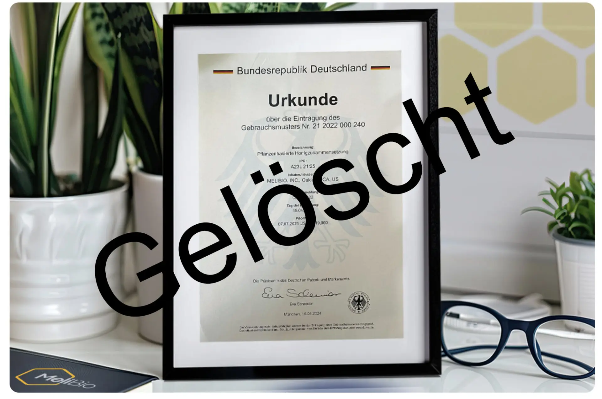 Das kleine Patent von MELIBIO wurde vom Deutschen Patentamt wieder zurückgenommen. Foto Screenshot/DBIB
