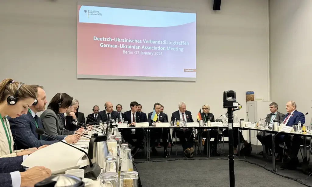 Berufsimker warnen: Honigbetrug ist Gefahr für ukrainische Wirtschaft