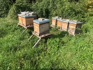 Foto: Herbert Rappel